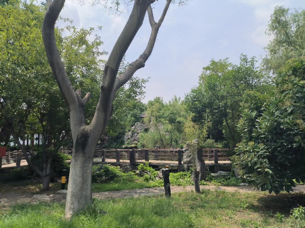 某園林資產(chǎn)價(jià)值評(píng)估